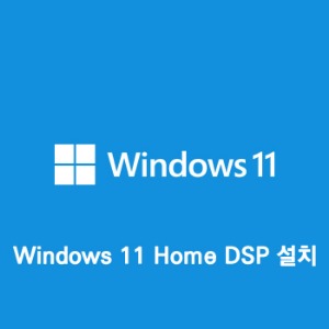 [Windows 11 Home DSP](OS/설치포함)