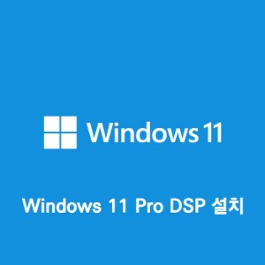 [Windows 11 Pro DSP](OS/설치포함)