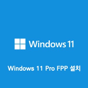 [Windows 11 Pro 처음사용자용](OS/설치포함)